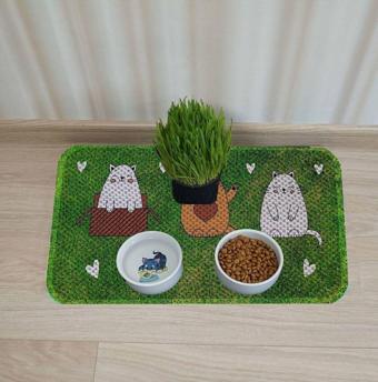 Aktunç Kedi Köpek Mama Ve Su Kabı Altı Paspası + Tırmalama
