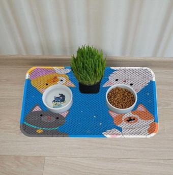 Aktunç Kedi Köpek Mama Ve Su Kabı Altı Paspası + Tırmalama