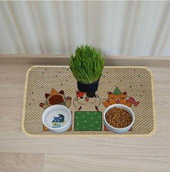 Aktunç Kedi Köpek Mama Ve Su Kabı Altı Paspası + Tırmalama