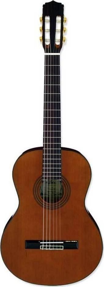 Aria A20N Klasik Gitar