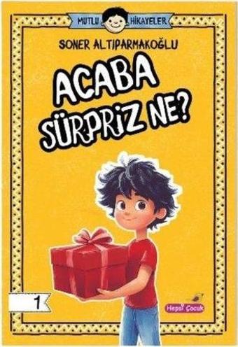 Acaba Sürpriz Ne? Mutlu Hikayeler Serisi 1 - Hepsiçocuk Yayınları