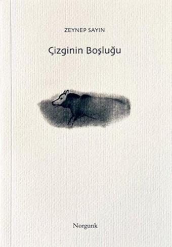 Çizginin Boşluğu - Zeynep Sayın - Norgunk Yayıncılık