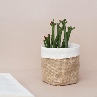 Wisha Natural Jüt Yıkanabilir Saksı 10X10Cm