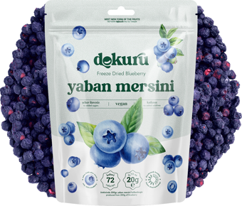 Dokuru Freeze Dried Yaban Mersini 20 gr