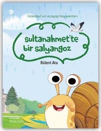 Sultanahmet'te Bir Salyangoz-İstanbul'un Acayip Hayvanları - Bülent Ata - Türkiye Diyanet Vakfı Yayınları
