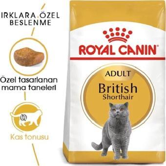 Royal Canin British Shorthair Yetişkin Kedi Maması 2 kg Adult Cat Food