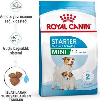 Royal Canin Mini Starter Mother&Babydog Küçük Irk Yavru Köpek Maması 4 kg