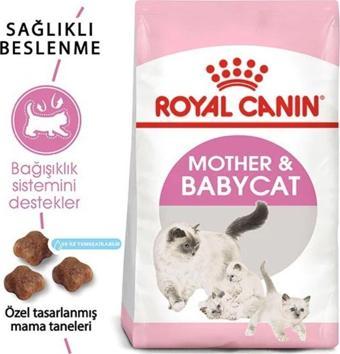 Royal Canin Mother&Babycat Yavru Kedi Maması 2 kg