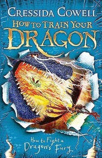 How to Train Your Dragon: How to Fight a Dragon's Fury : Book 12 - Cressida Cowell - Hachette Children