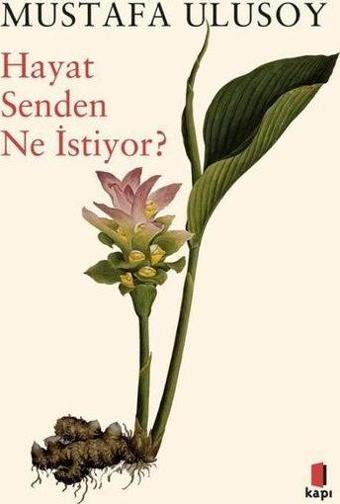 Hayat Senden Ne İstiyor? - Mustafa Ulusoy - Kapı Yayınları