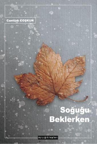 Soğuğu Beklerken - Ayışığı Kitapları