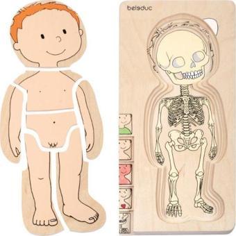 Beleduc İnsan Anatomisi Puzzle - Erkek
