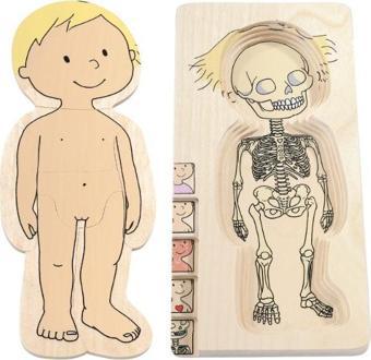 Beleduc İnsan Anatomisi Puzzle - Kız