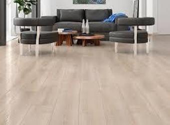 ÇAMSAN SOFT MEŞE  (32.SINIF  1.84 M2 ) PLATİNİUM