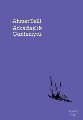 Arkadaşlık Günleriydi - Ahmet Telli - Everest Yayınları