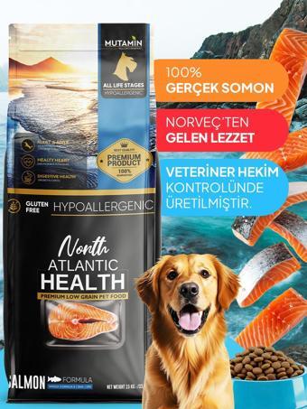 North Atlantic Health Somonlu Yetişkin Köpek Maması 15KG - Mutamin Fabrikadan Orjinal