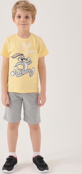 Looney Tunes L1582-2 Erkek Çocuk Tişört Puding