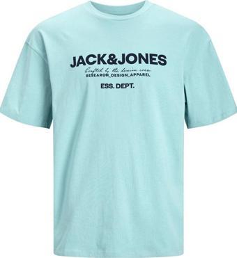 JACK&JONES JJGALE TEE SS O-NECK LN 12247782 MİNT