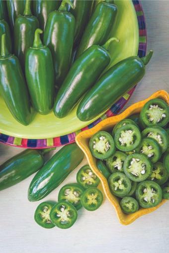 Agrodal Tarım Hobi Paket Doğal Meksika Biberi Jalapeno Acı Biber 20 Adet Sebze Tohumu