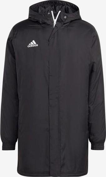 Adidas Entrada 22 Stadium Jacket Erkek Mont IB6076