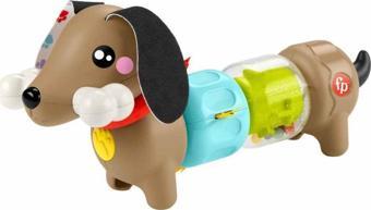 Fisher Price Köpekçikle Eğlenceli Aktiviteler HTW91