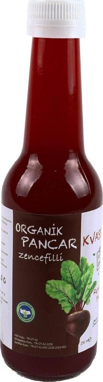 Beferment Organik Kırmızı Zencefilli Pancar Kvass 250 Ml
