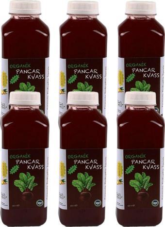 Beferment Organik Pancar Kvass Zencefilli 500 Ml X 6 Adet