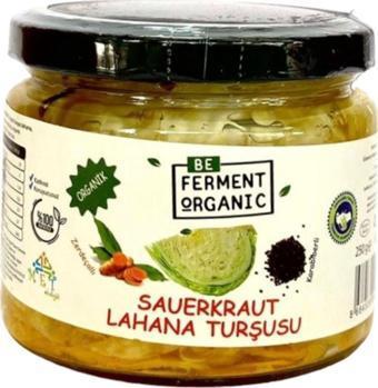 Beferment Organik Zerdeçallı Saurkraut Lahana Turşusu 250 G