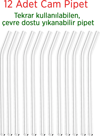 ŞEFFAF CAM PİPET 12 ADET EĞİMLİ 