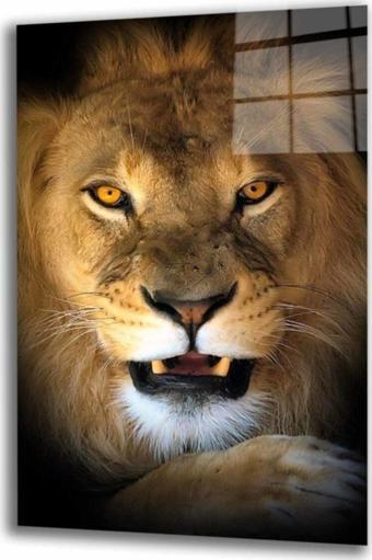 İdealizbiz Aslan 15 Hayvan Cam Tablo