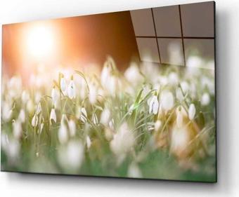 İdealizbiz Doğa Manzara Cam Tablo 4Mm Dayanıklı Temperli Cam
