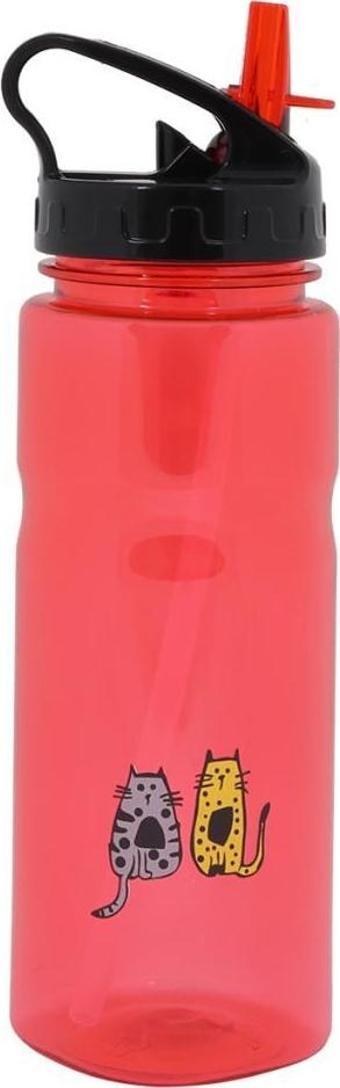 Biggdesign Cats Tritan Matara 650 ml