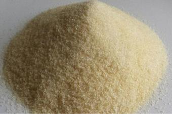 Sakız Ağacı Toz Sığır Jelatini 100 G