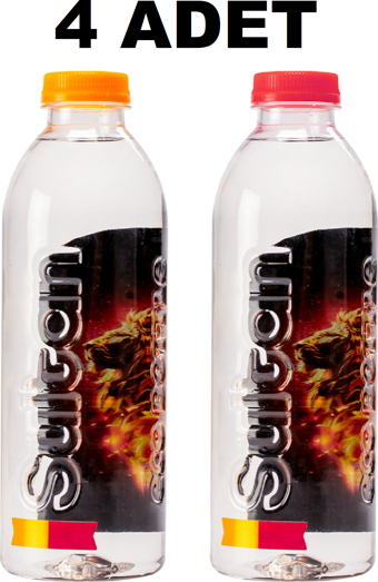 GALATASARAY LİSANSLI FLORYA SUYU 400ML x 4 ADET