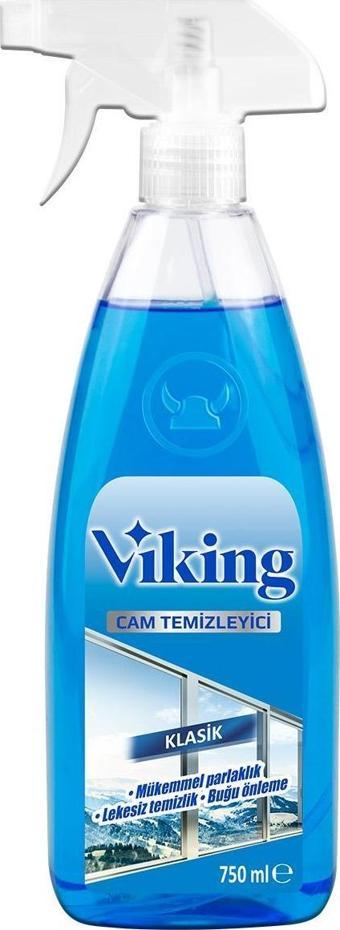 Cam Temizleyici Klasik 750 ml 1 Adet