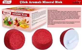 BİOLİVE Çilek Aromalı Mineral Blok