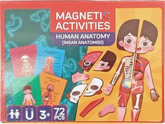 Manyetik Aktivite Insan Anatomisi 72 Parça Zeka Geliştirici Oyun