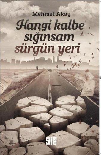 Hangi Kalbe Sığınsam Sürgün Yeri - Şiirden Yayınları