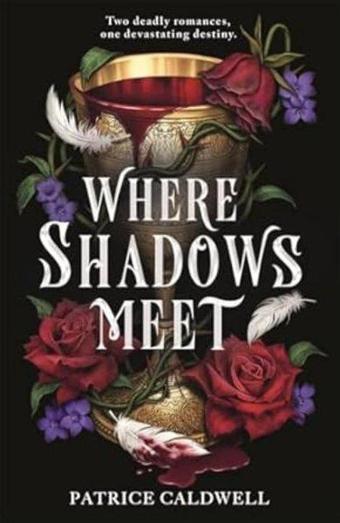 Where Shadows Meet - Louie Stowell - Hot Key Books