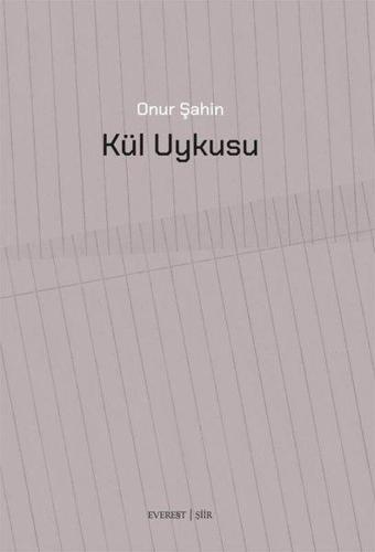 Kül Uykusu - Onur Şahin - Everest Yayınları