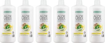 Lr Aloe Vera Jel Içecek Zencefil & Limon 6' Lı Set