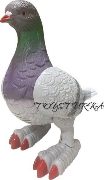 Toysturka Hareketli Sesli Işıklı Güvercin Kuş