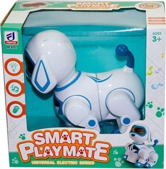 Toysturka Pilli Kutulu Işıklı Müzikli Robot Köpek