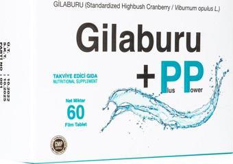 Gılaburu Plus Power 1000 Mg 60 Tb