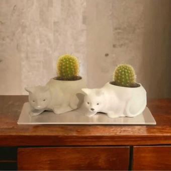 Hobimiz İşimiz %100 Beton - 2Li Kedi Model Sukulent & Kaktüs Saksı - Gri & Beyaz