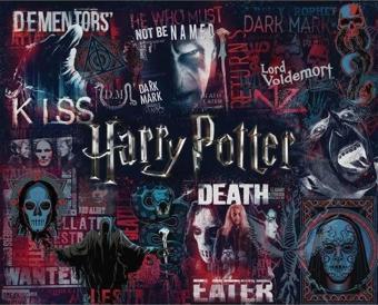 Paladone Harry Potter Karanlık Sanatlar 1000 Parça Yapboz