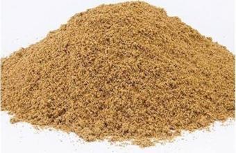 Pavrika Hazal Baharat Toz Kişniş 1.Sınıf Organik Dökme - 250 Gr