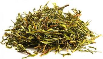 Pavrika Yapışkan Andız Otu 250Gr