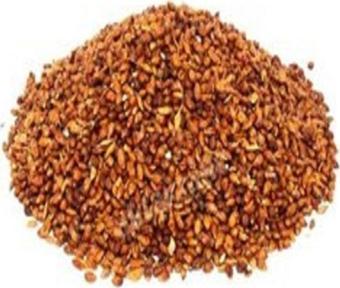 Pavrika Süpürge Tohumu 50 Gr
