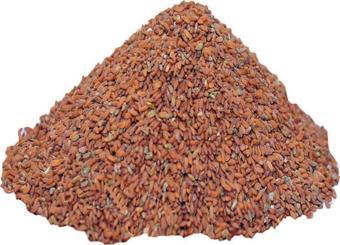Pavrika Tere Tohumu 100 Gr